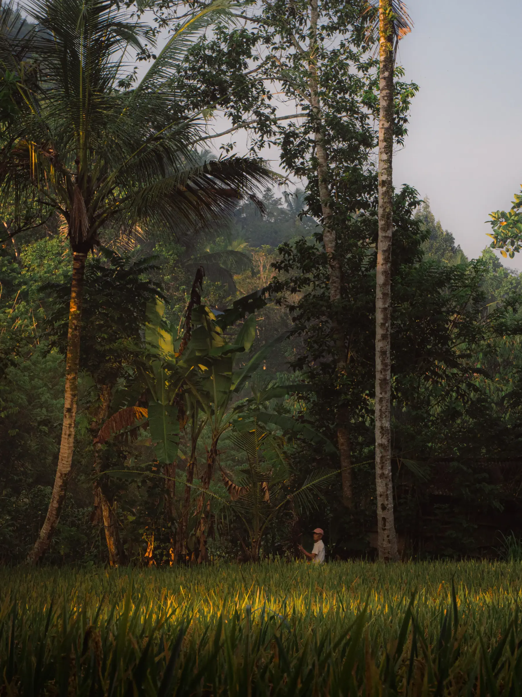 Indonesia — Travel notebook