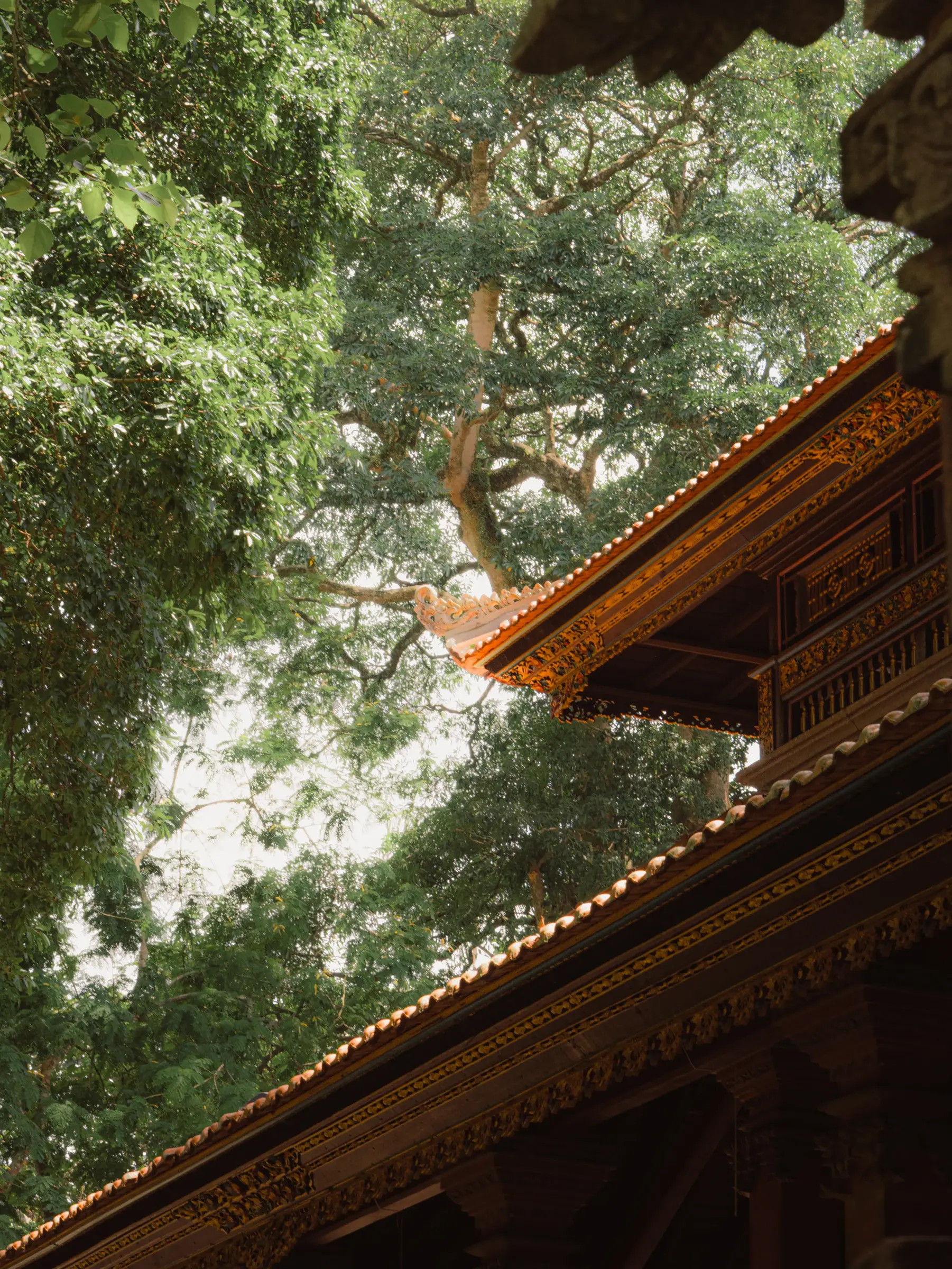 Indonesia, street scene in Yogyakarta