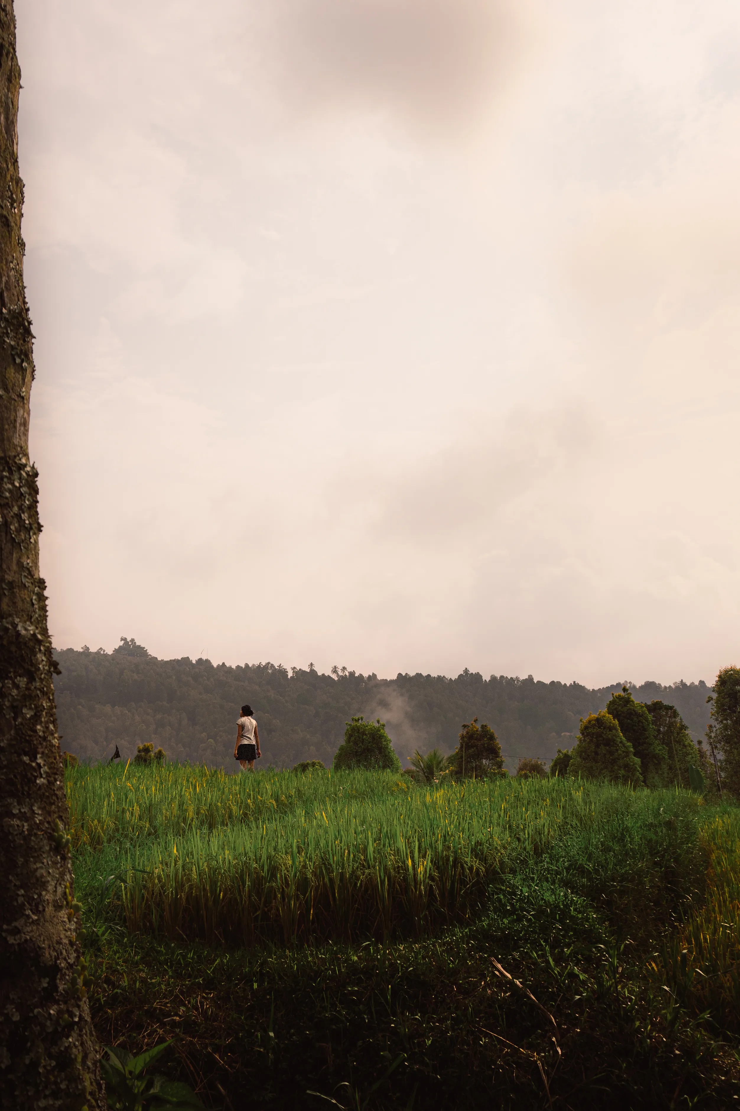 Indonesia, interior of a colonial building